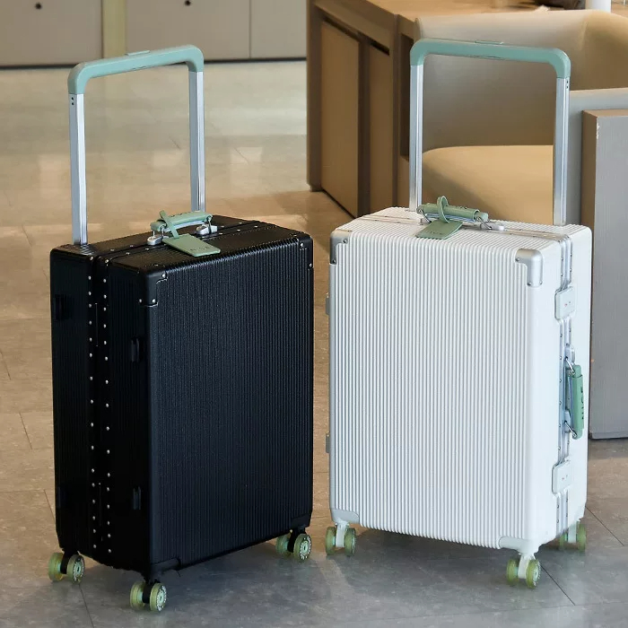 Valigia con maniglia larga e r - Spinner Wheel Rolling Suitcase 20 Inch recensione e prezzo